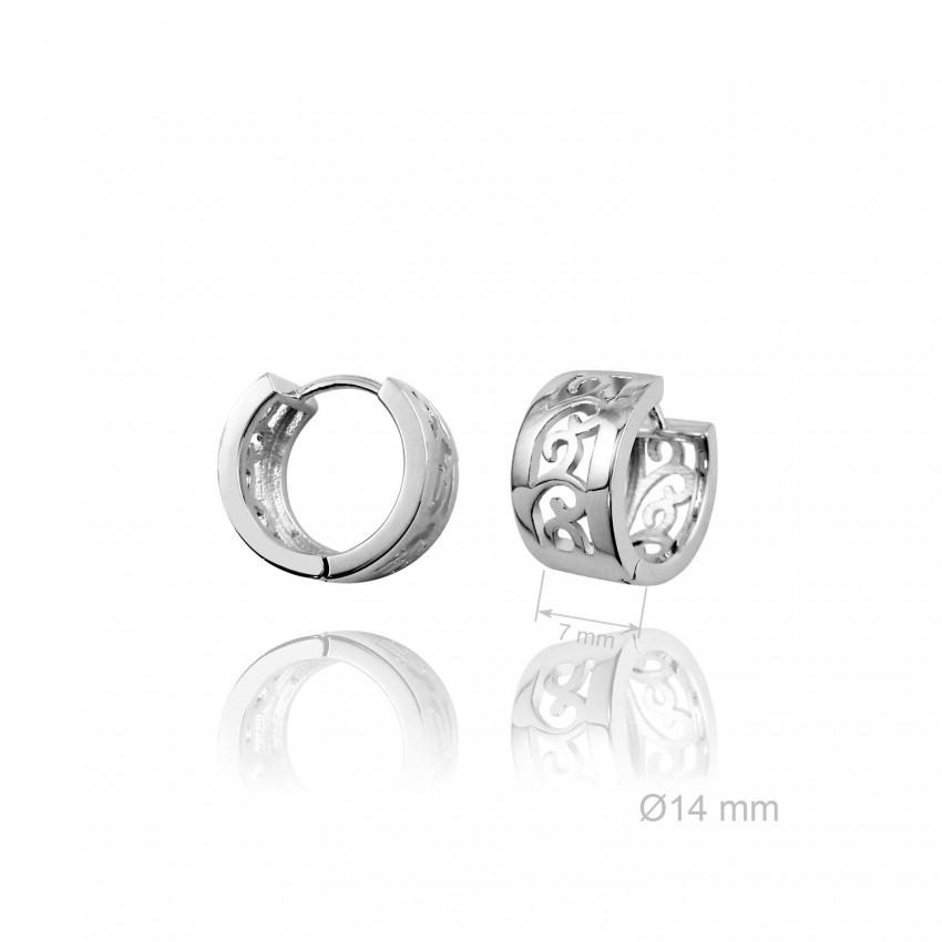 Pendientes de Plata de Ley