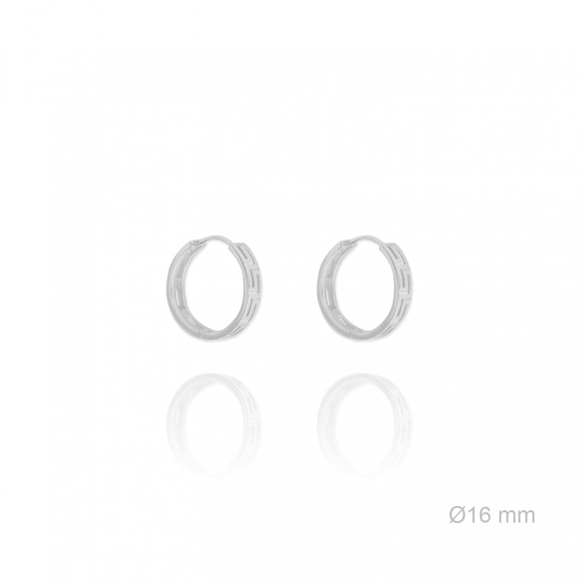 Pendientes de Plata de Ley