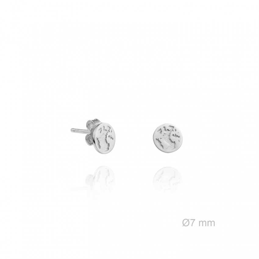 Pendientes de Plata de Ley