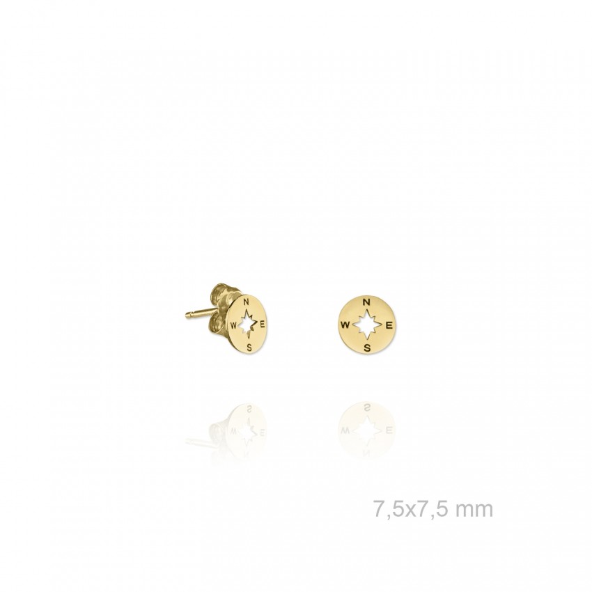 Pendientes de Plata de Ley