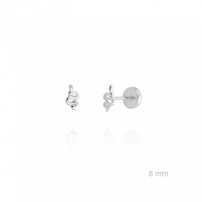 Pendientes de Plata de Ley