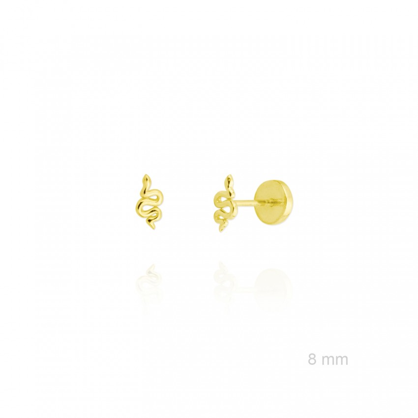 Pendientes de Plata de Ley