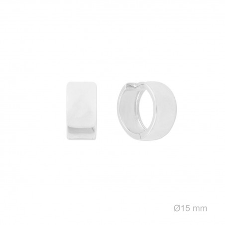 Pendientes de Plata de Ley