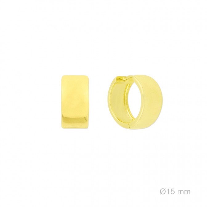 Pendientes de Plata de Ley