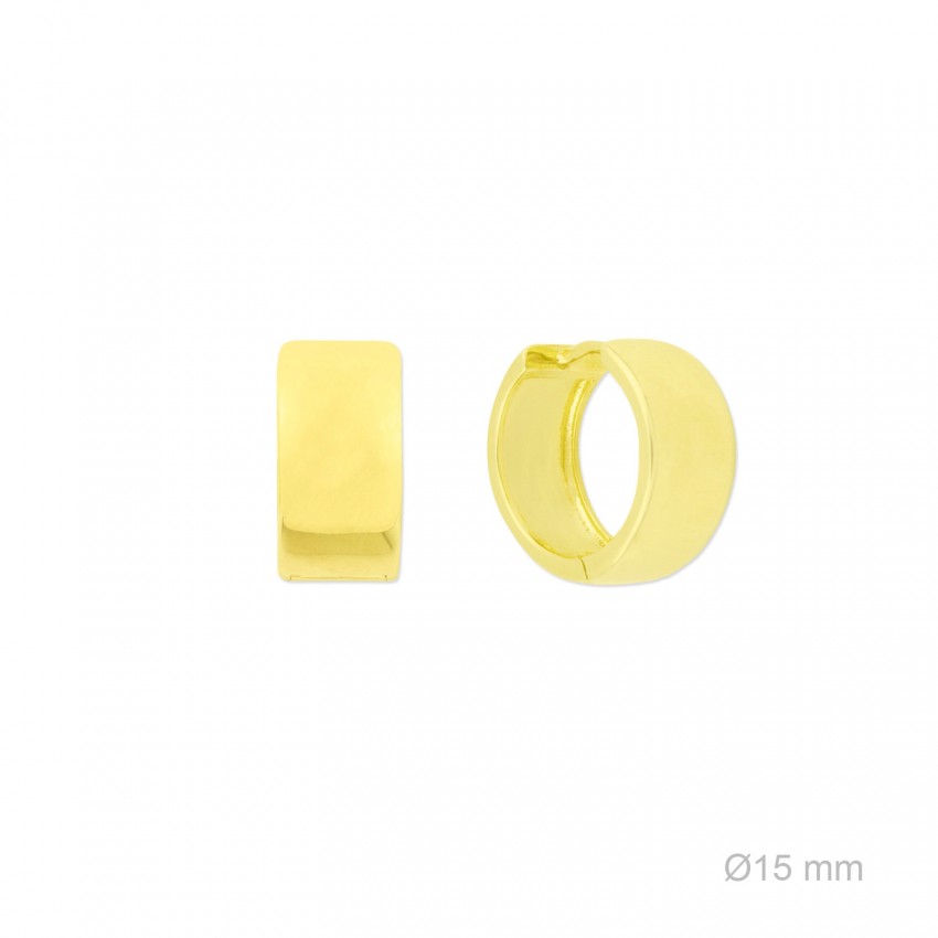 Pendientes de Plata de Ley