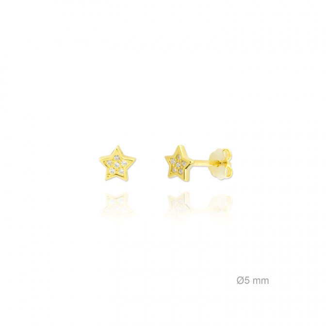 Pendientes de Plata de Ley y circonita