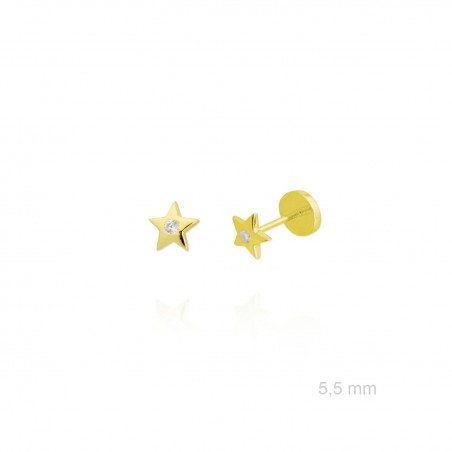 Pendientes de Plata de Ley y circonita