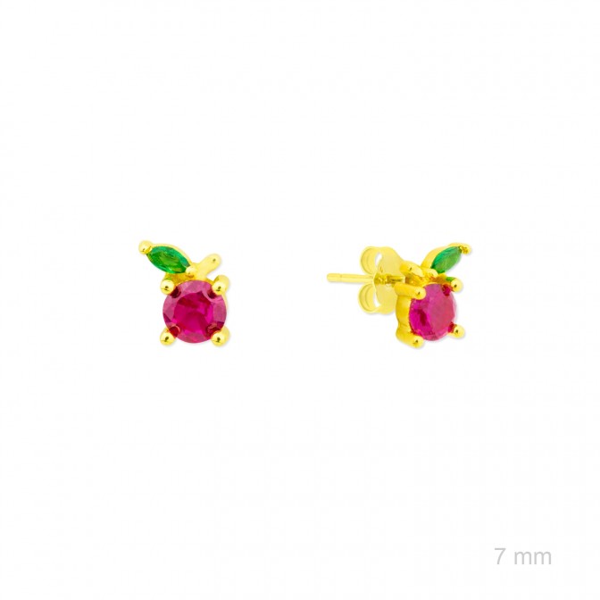 Pendientes de Plata de Ley con circonitas