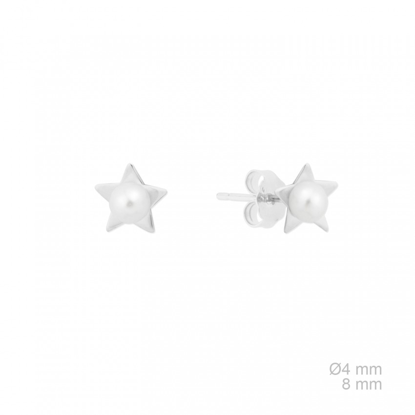 Pendientes de Plata de Ley