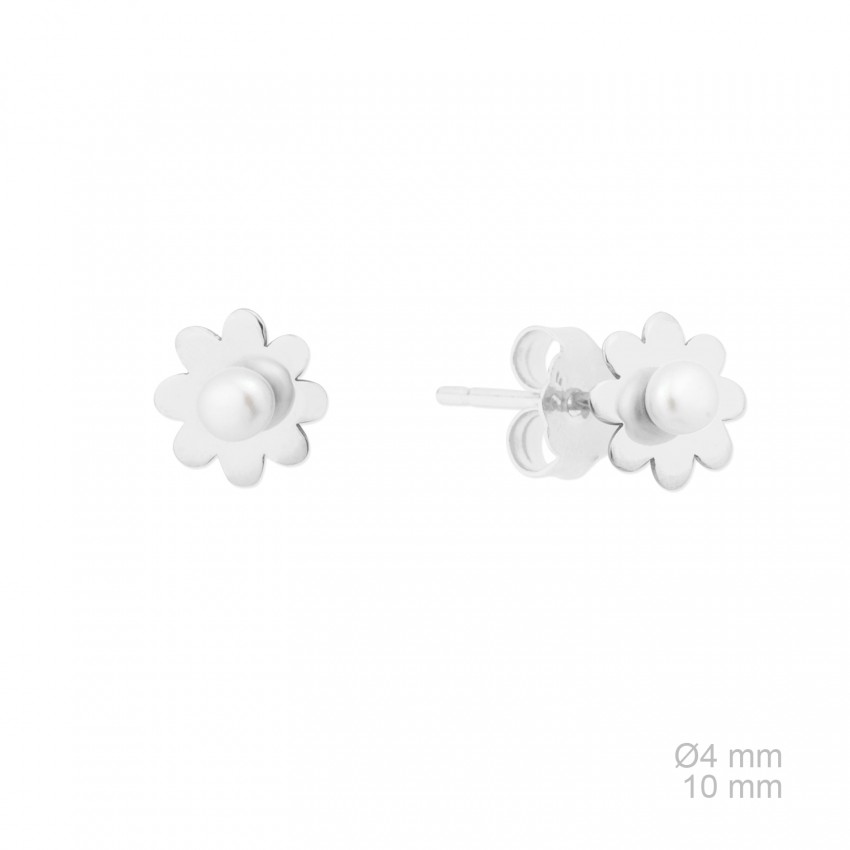 Pendientes de Plata de Ley