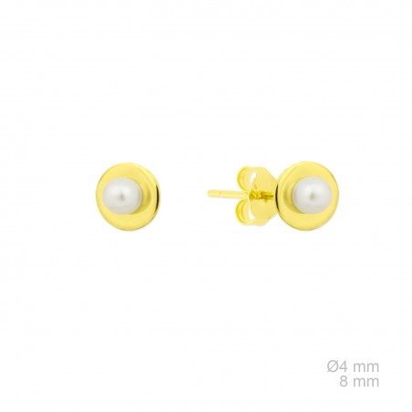 Pendientes de Plata de Ley