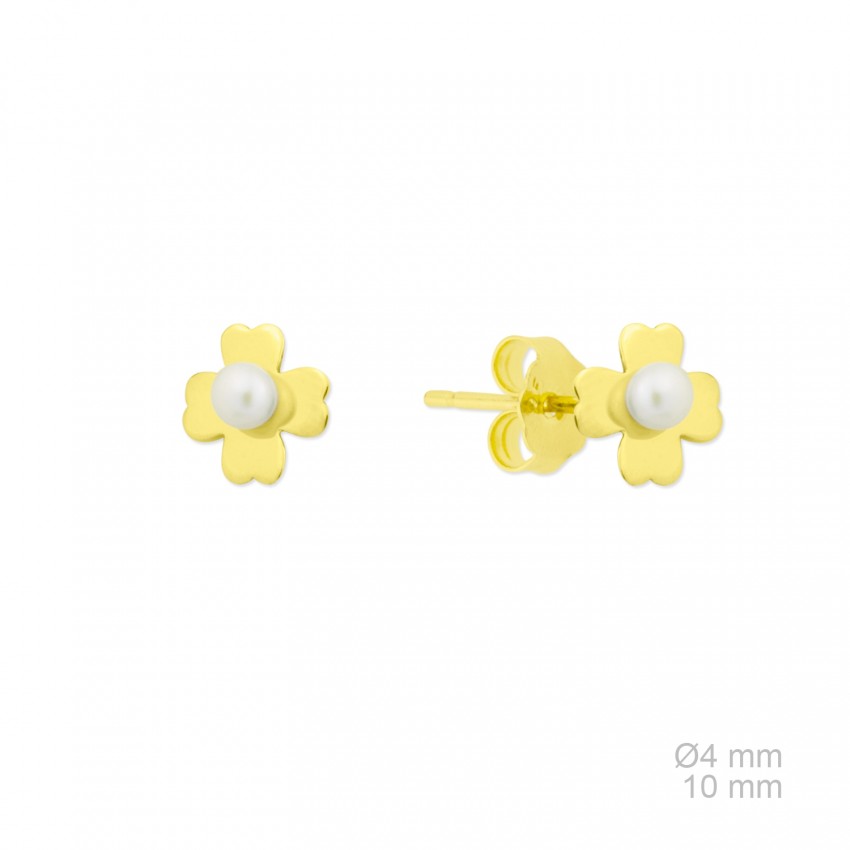 Pendientes de Plata de Ley