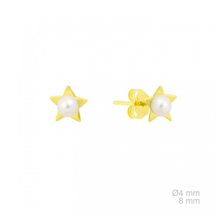 Pendientes de Plata de Ley