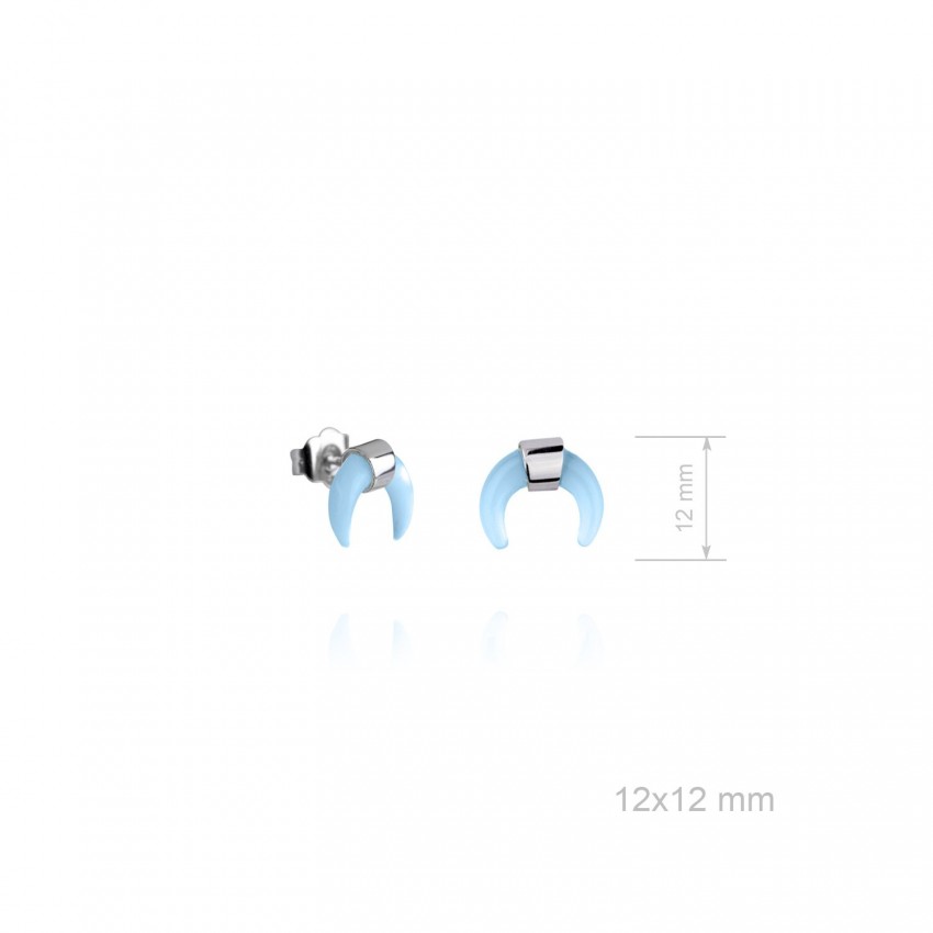 Pendientes de Plata de Ley 