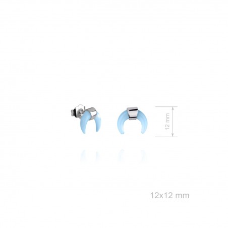 Pendientes de Plata de Ley 