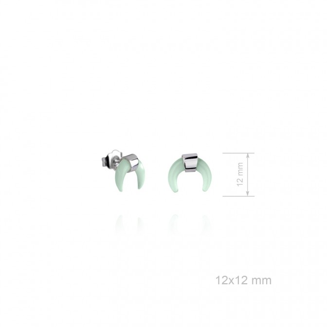 Pendientes de Plata de Ley 