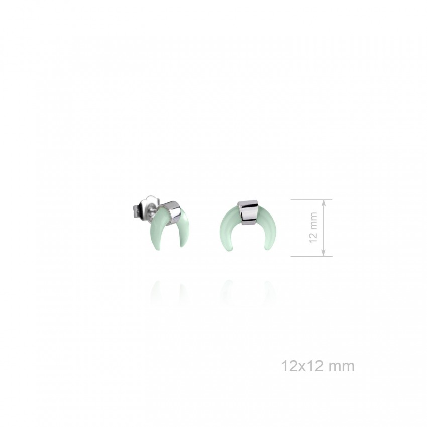 Pendientes de Plata de Ley 