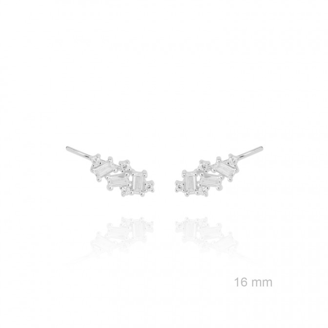 Trepadores de Plata de Ley