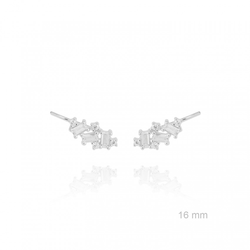 Trepadores de Plata de Ley