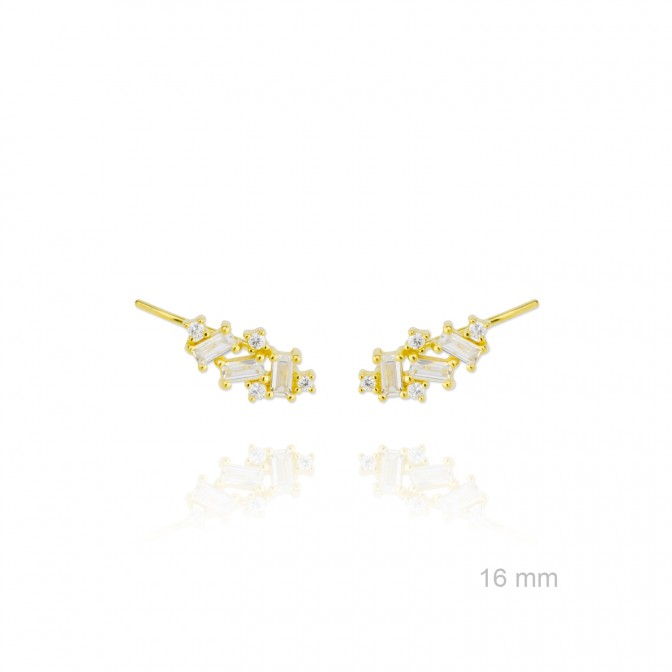 Trepadores de Plata de Ley