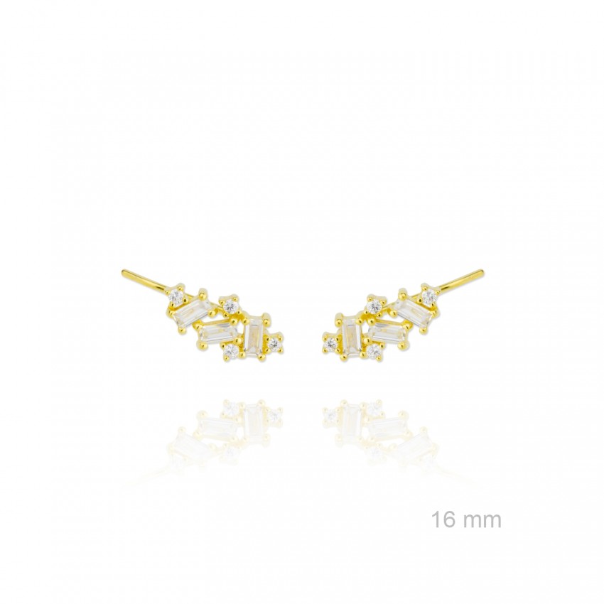 Trepadores de Plata de Ley