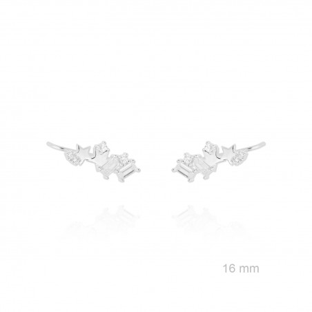 Trepadores de Plata de Ley