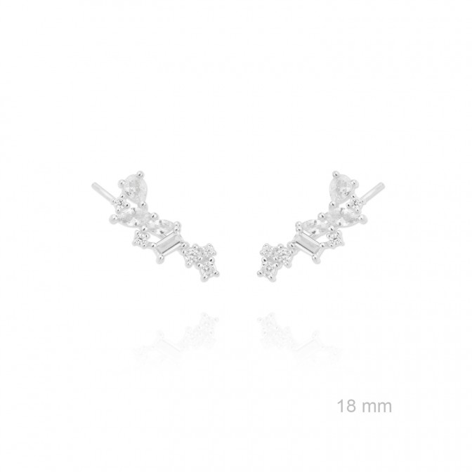 Trepadores de Plata de Ley