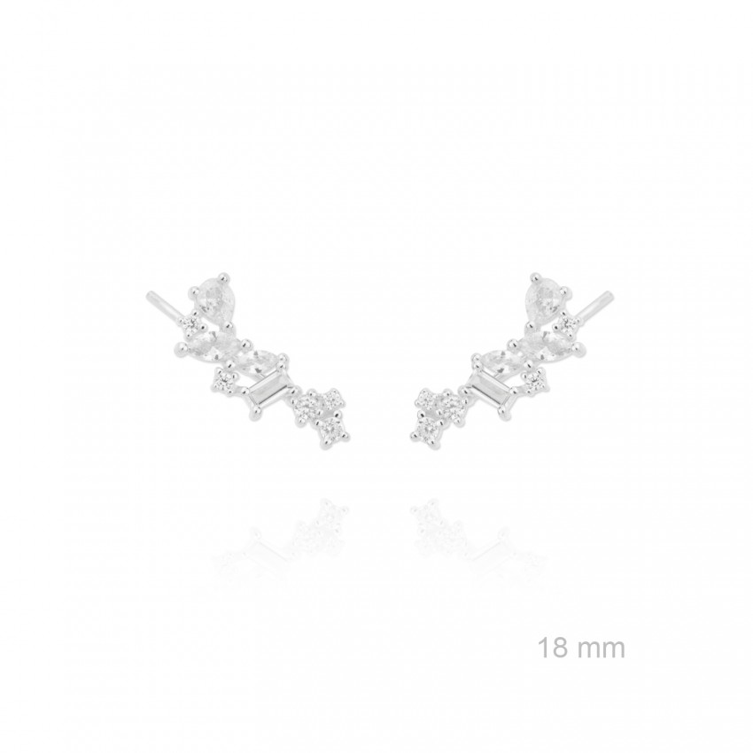 Trepadores de Plata de Ley