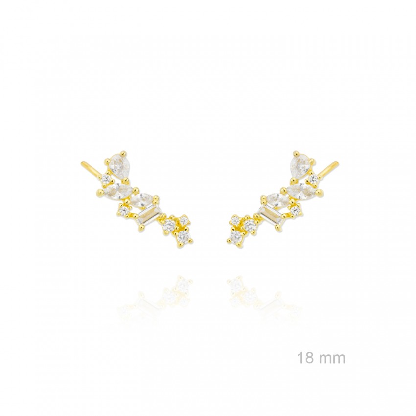 Trepadores de Plata de Ley