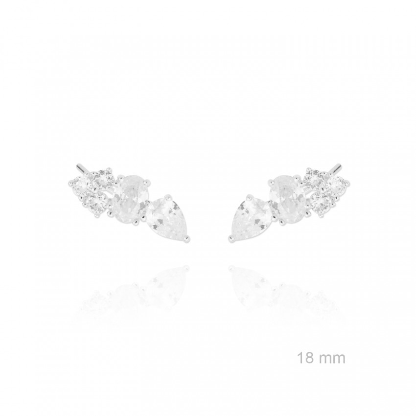 Trepadores de Plata de Ley