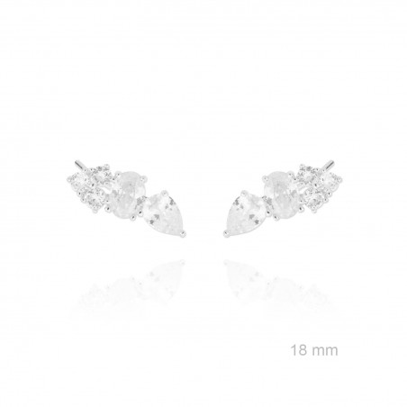 Trepadores de Plata de Ley