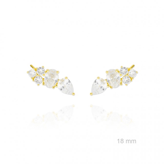 Trepadores de Plata de Ley