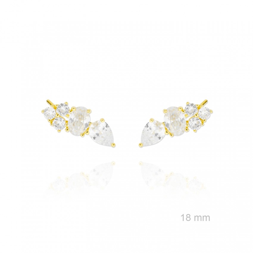 Trepadores de Plata de Ley