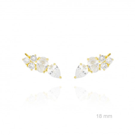 Trepadores de Plata de Ley