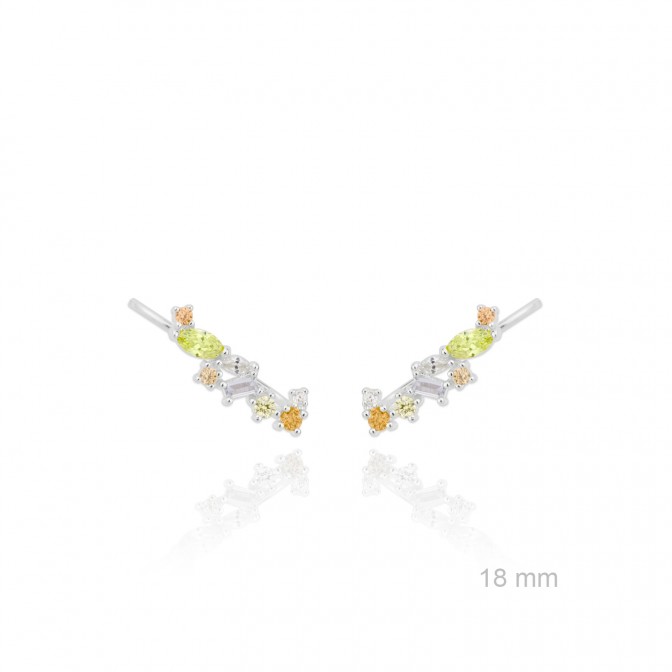 Trepadores de Plata de Ley