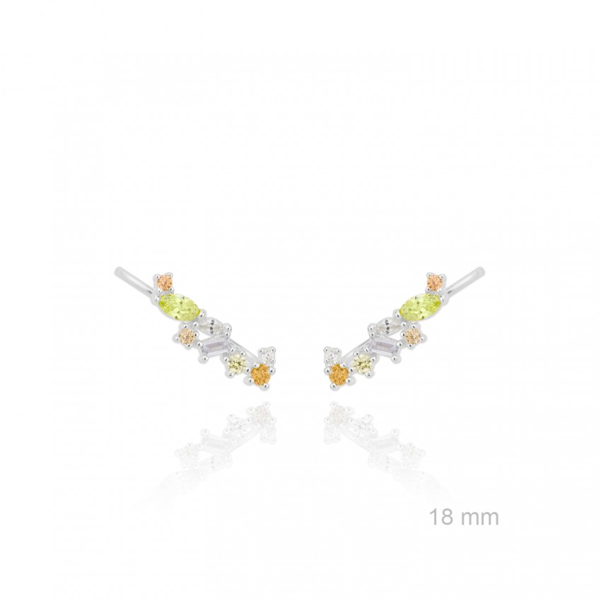 Trepadores de Plata de Ley