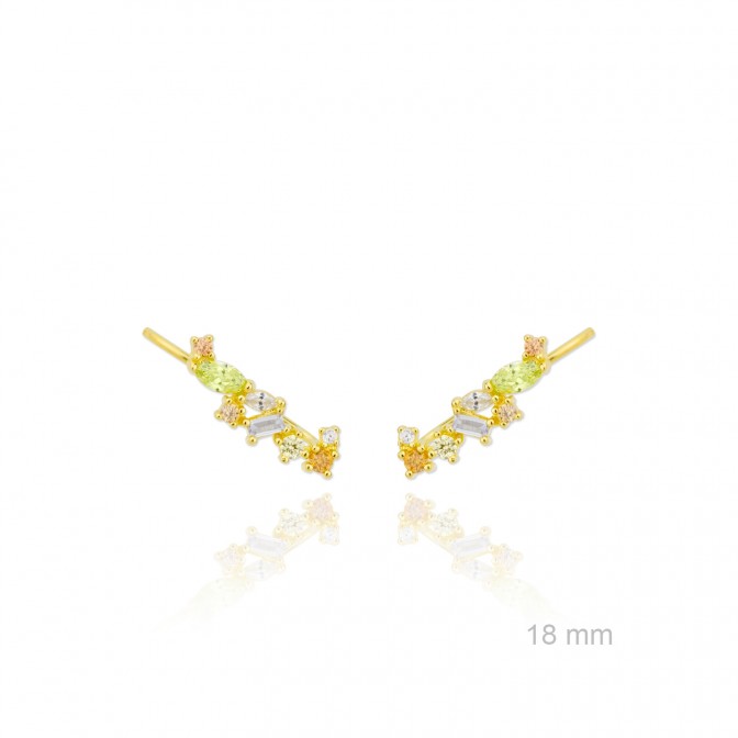 Trepador de Plata de Ley