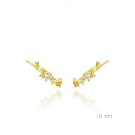 Trepador de Plata de Ley