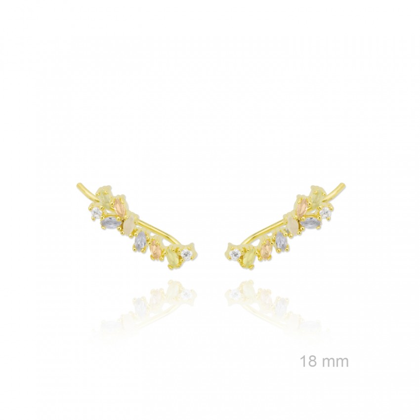 Trepadores de Plata de Ley