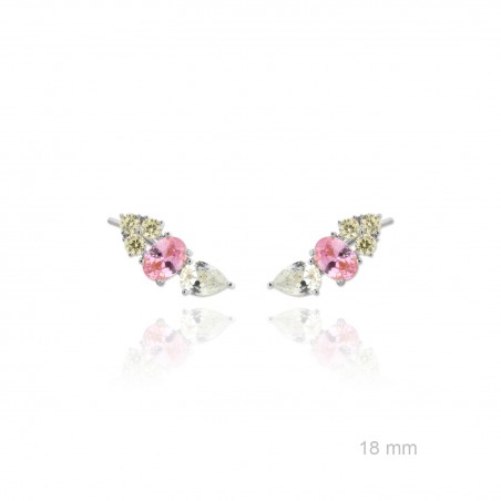 Trepadores de Plata de Ley