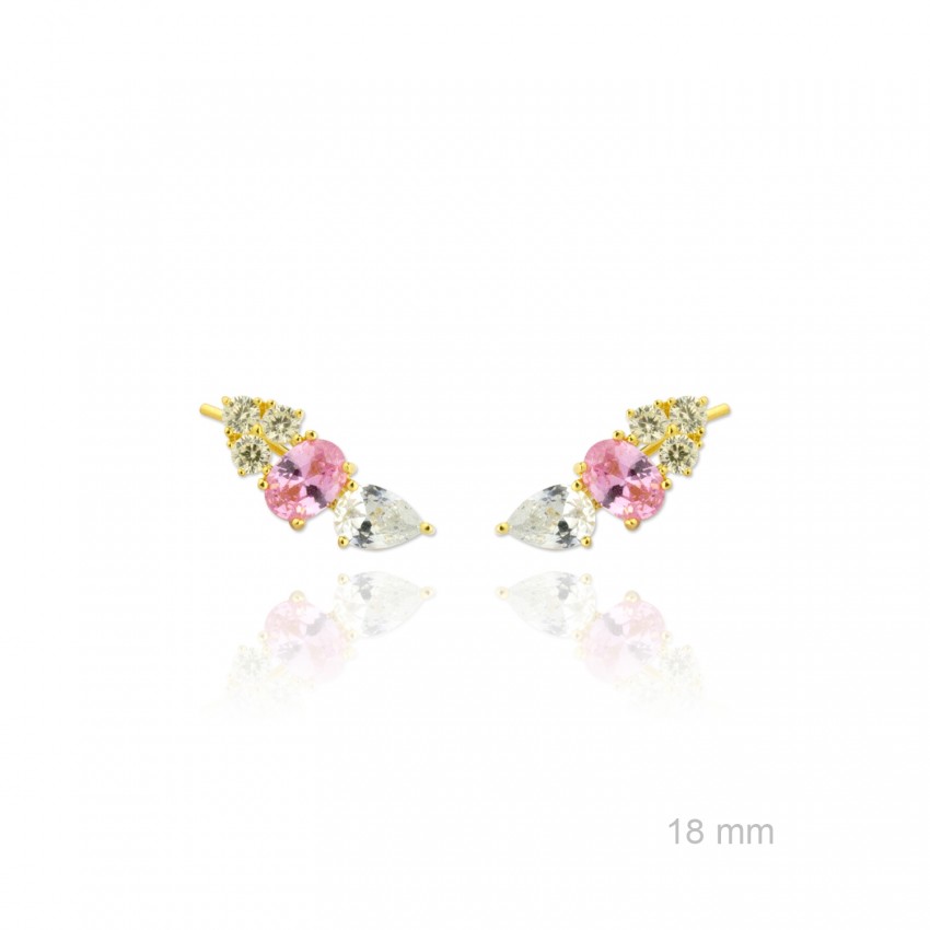 Trepadores de Plata de Ley