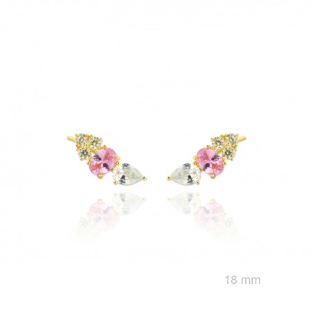 Trepadores de Plata de Ley