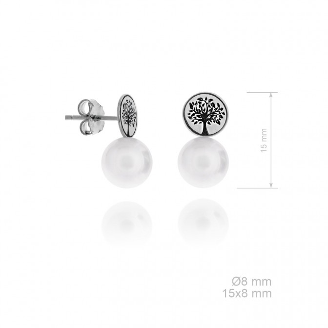 Pendientes de Plata de Ley