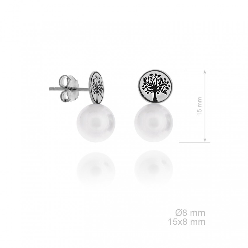 Pendientes de Plata de Ley