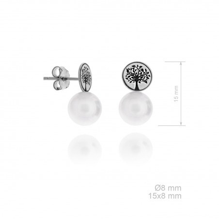 Pendientes de Plata de Ley