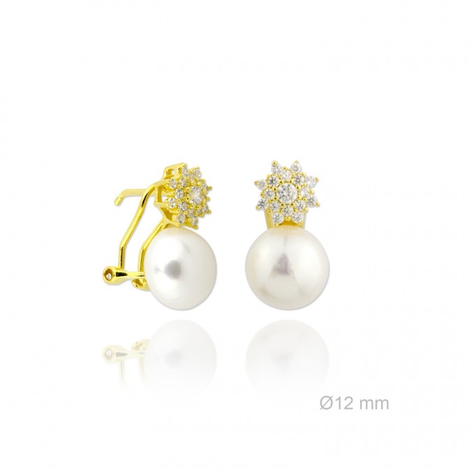 Pendientes de Plata de Ley