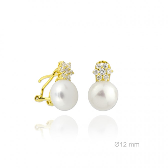 Pendientes de Plata de Ley