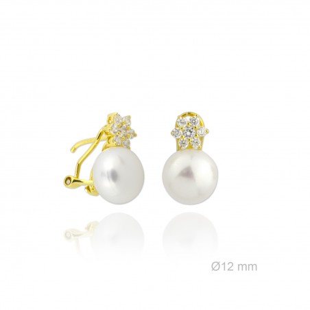 Pendientes de Plata de Ley