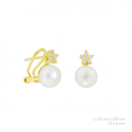 Pendientes de Plata de Ley