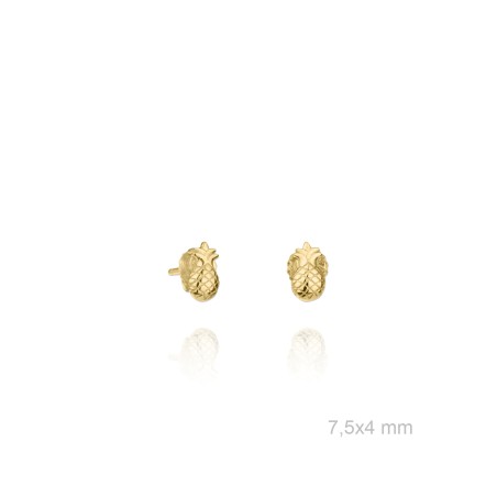 Pendientes de Plata de Ley